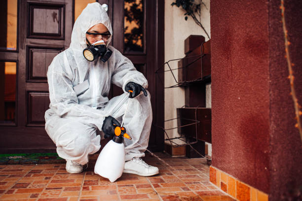 Reliable Cockroach Control contractor in Lompoc, CA by Nex Pest Control